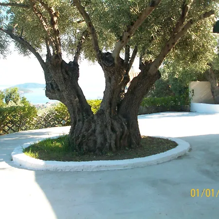 L&m Skiathos Kalivia (Skiathos)