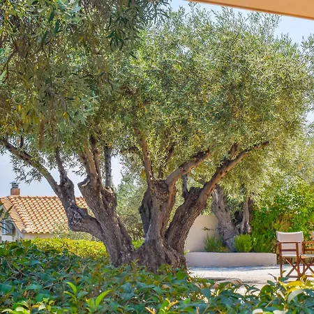 L&m Skiathos Apartman Kalivia (Skiathos)