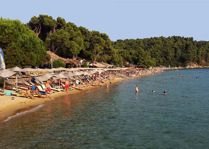 L&m Skiathos Apartment