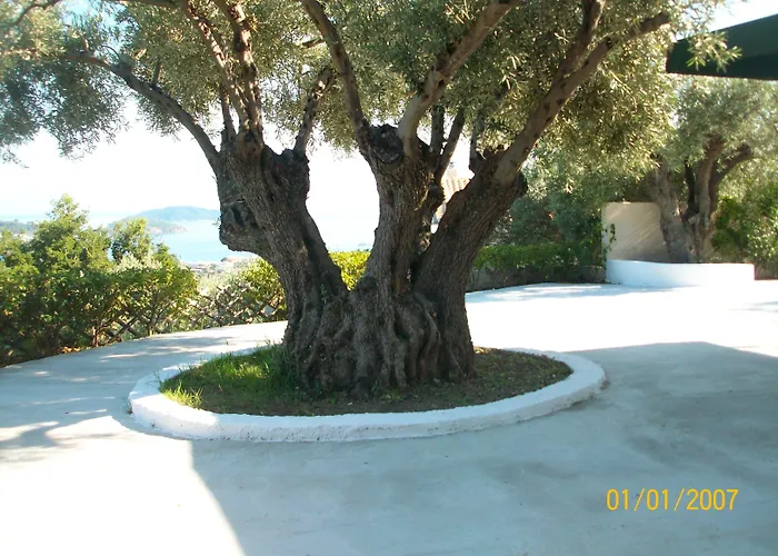 L&m Skiathos Kalivia (Skiathos)